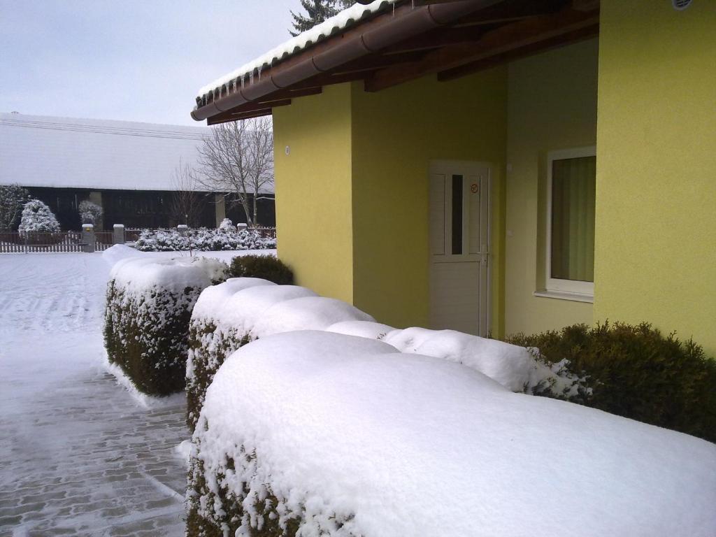 Privat No 13 Lägenhet Liptovský Mikuláš Exteriör bild